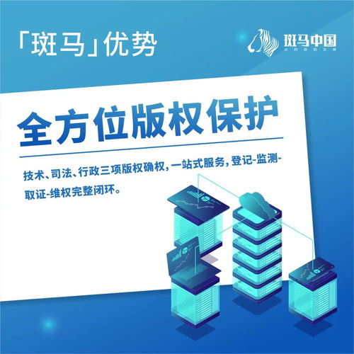 解读斑马 卓越的项目策划与公关服务优势