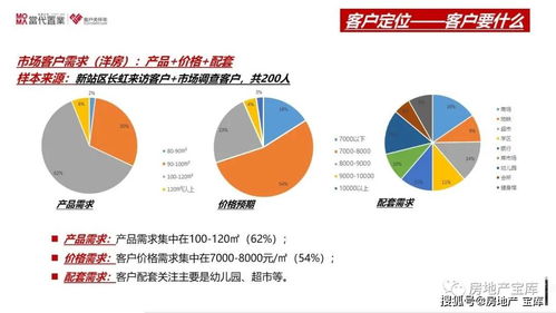 某项目策划定位报告的深度解析 项目策划与公关服务的关键要素